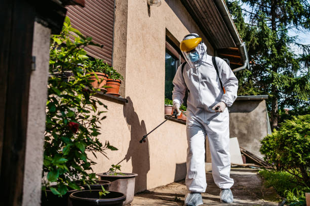 Best Commercial Pest Control Services  in Medina, NY