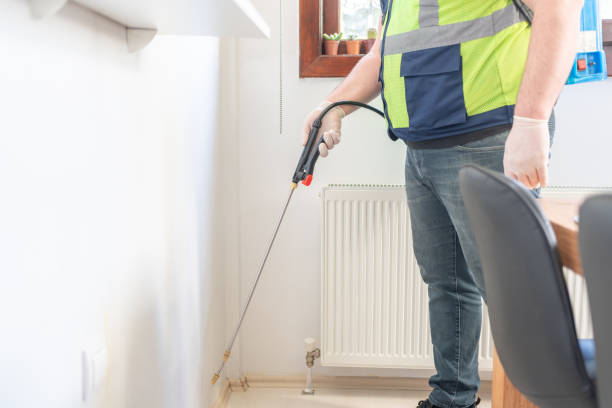 Best Pest Control for Homes  in Medina, NY