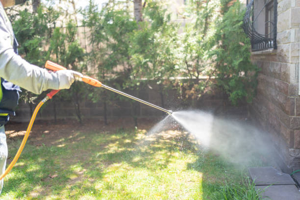 Best Pest Control Treatment  in Medina, NY